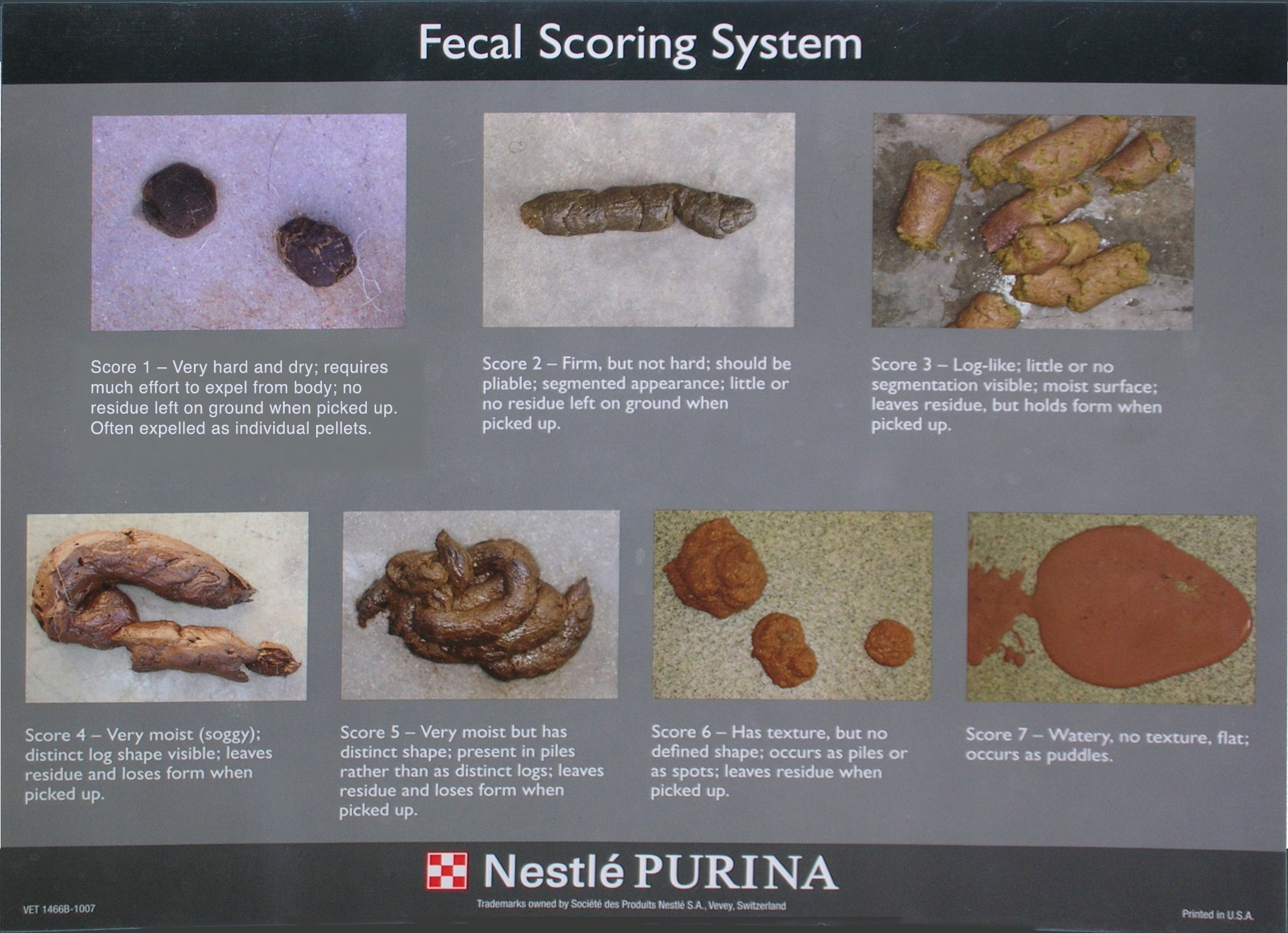 Fecal Scoring System