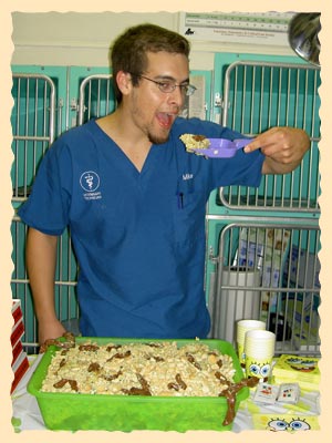 Kitty Litter Cake